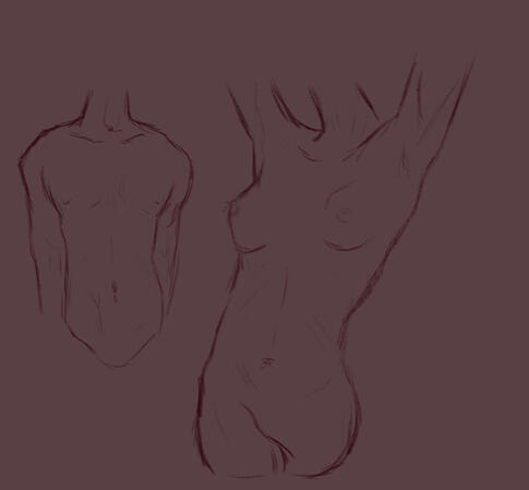 nsfw// anatomy sketches/studies